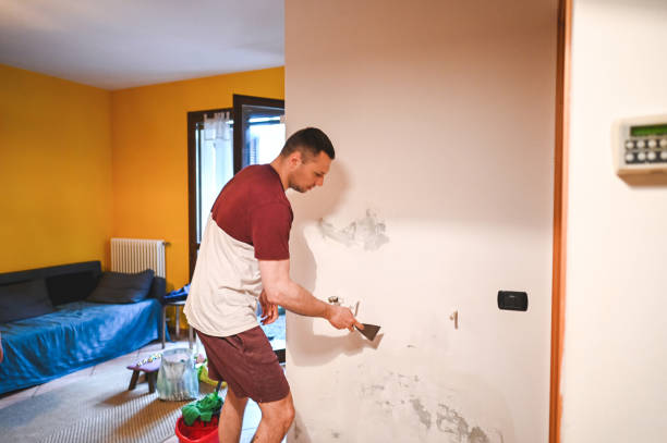 Best Crawl Space Mold Removal  in Wilmington Island, GA